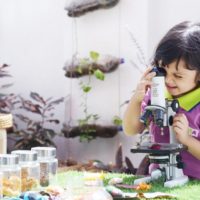 Using a telescope to support discovery